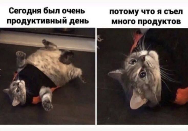 ���� ����� ���, ����� ������ ���� ��� ������������!
