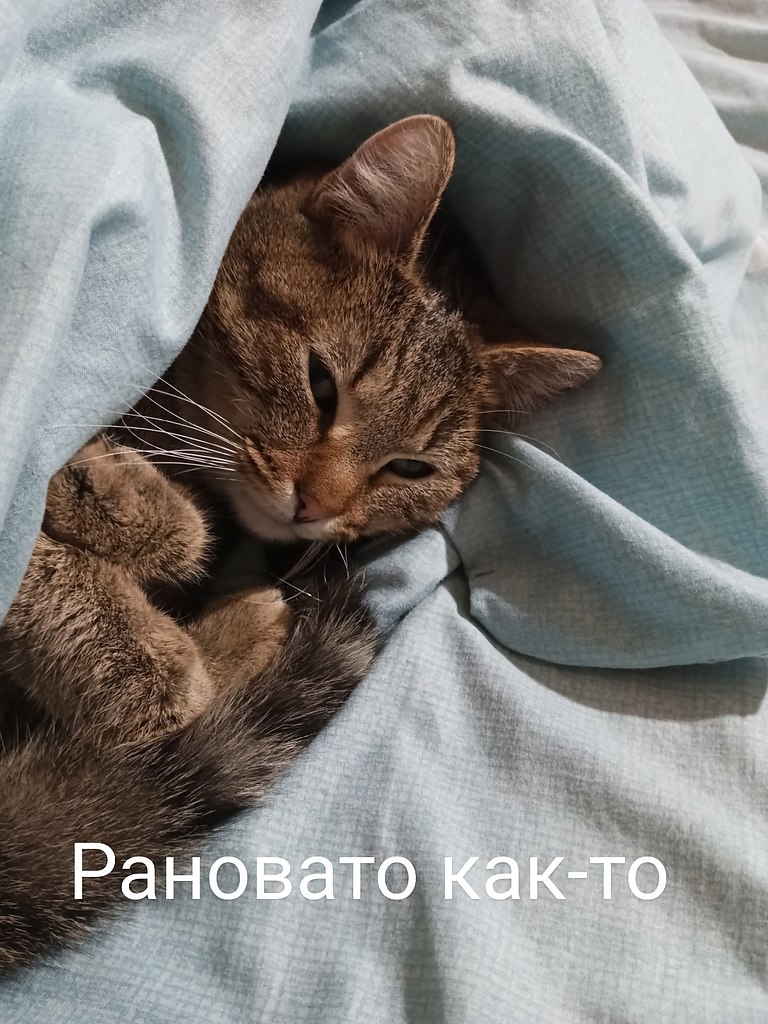       - 9  2025  08:04 - 2