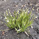 ���� ����, ������, 36 ��� - ��������� 7 ������ 2024 � ������ ���� ����������