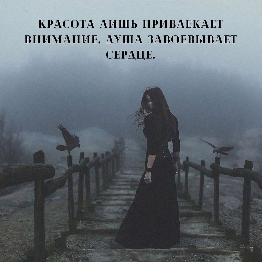 .. - 23  2023  15:06