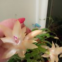 ���� �������, ������, 44 ���� - ��������� 28 ������� 2023 � ������ ���� ����������