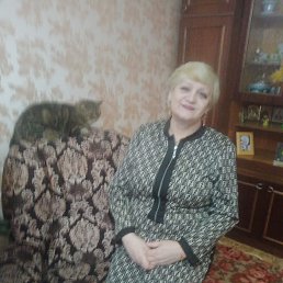 ���� �����, �������, 62 ���� - ��������� 2 ����� 2026