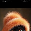 ���� �������, ��������� - ��������� 26 ������ 2025 � ������ ������ ��������