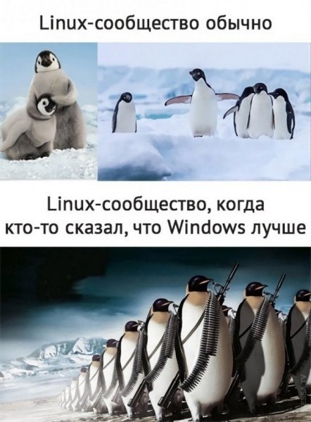     1000 .    ,   Linux     ...