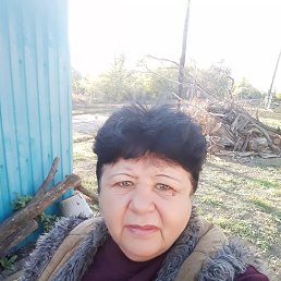 , 63, 