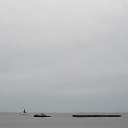 , -, 54 