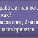  ,  -  6  2025   