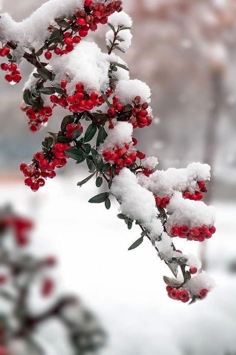   ...    .  .   .      ...