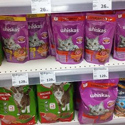 ��������� �������������, ���������, 30 ���