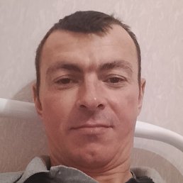 ����, ������, 40 ���