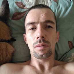 , 33, 