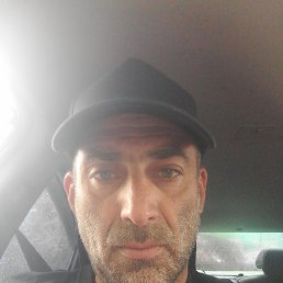 , 44, 