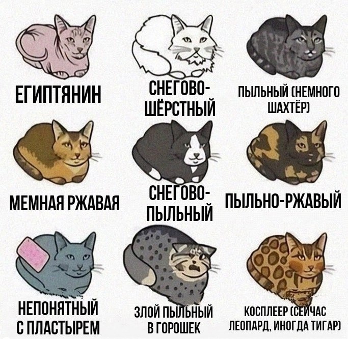 У вас какой? - 2