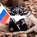 ���� �� Z, ������ - ��������� 1 ������ 2025 � ������ ���� ����������