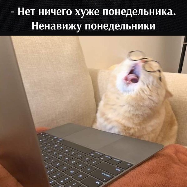       - 11  2023  12:35
