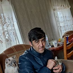 ����, ������, 40 ���