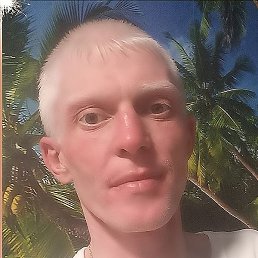 �����, ��������, 38 ���