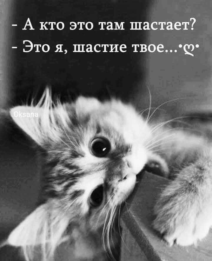   - 9  2025  08:56