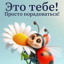 ���� ���� ��������, ������, 73 ���� - ��������� 13 ���� 2026 � ������ ���� ����������