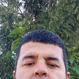 , 36, 