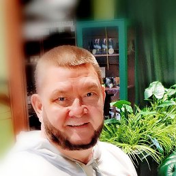 , 49, 