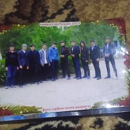 ��������, ������, 38 ���