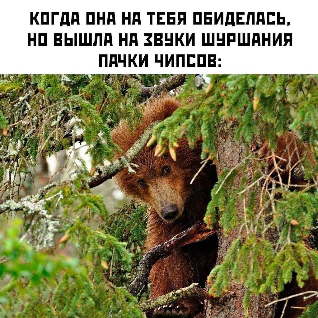  - 7  2025  12:18