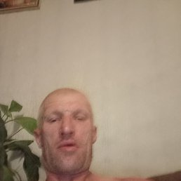 , 45, 