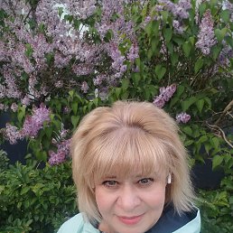 , 54, 