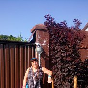 ����, 58 ���, �����