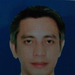 , 51,  
