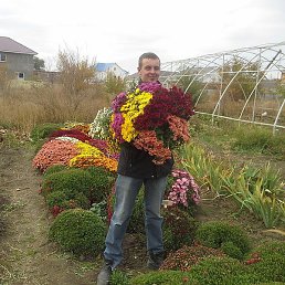 ������, ������, 33 ����