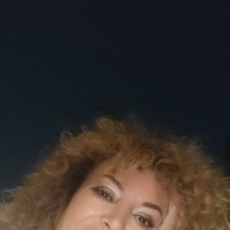 ���� �����, ������������, 63 ���� - ��������� 19 ������ 2026