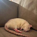 ���� ���������, ������ 2 - ��������� 7 ������� 2025 � ������ ������ ��������