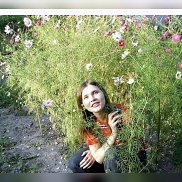 , 26 , 