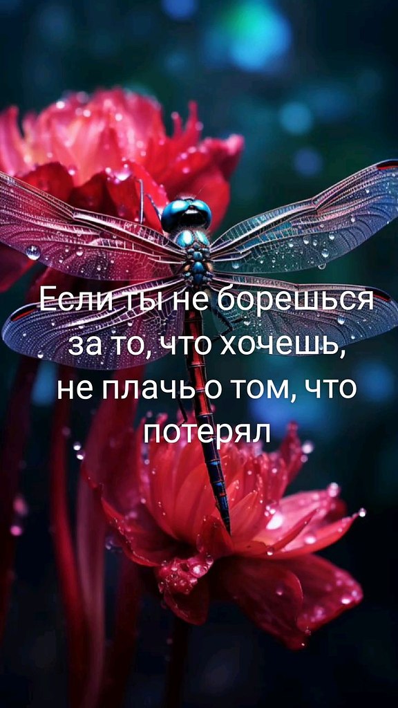   - 24  2024  11:51