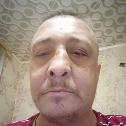 ����, �������, 41 ���