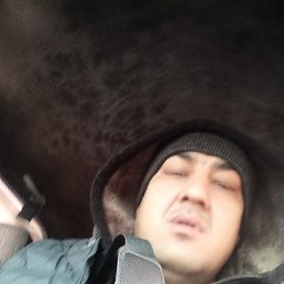 , 32, 