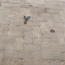 ���� Hu, ����, 22 ���� - ��������� 23 ���� 2026 � ������ ���� ����������