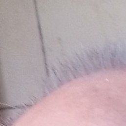 ����, �����������, 64 ����