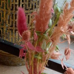 ���� Majid, ������, 29 ��� - ��������� 14 ����� 2024