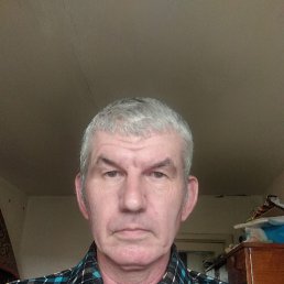 , 54 , 