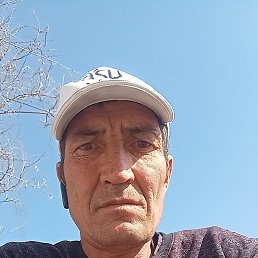 �����, ������, 46 ���