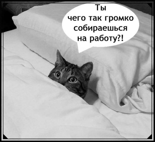  . - 2