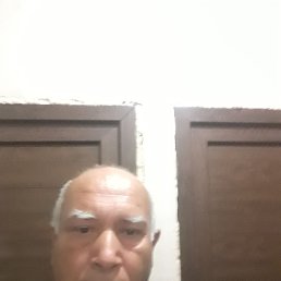 , 53, 