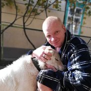 �������, 40 ���, ������