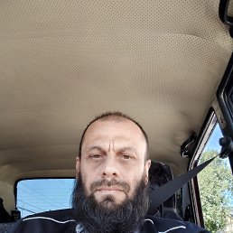, 41, 