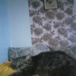 ������, �������, 60 ���