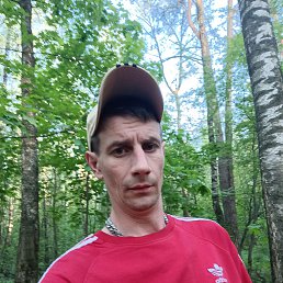 , 41, 