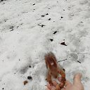 ���� ���������, �����-���������, 49 ��� - ��������� 24 ������ 2025 � ������ ������